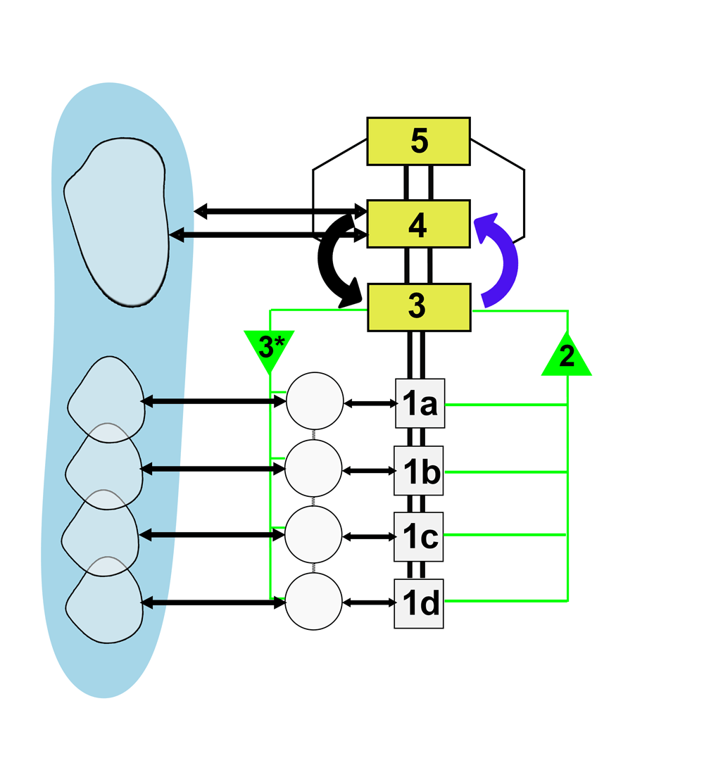 Das normative Management Das normative Management