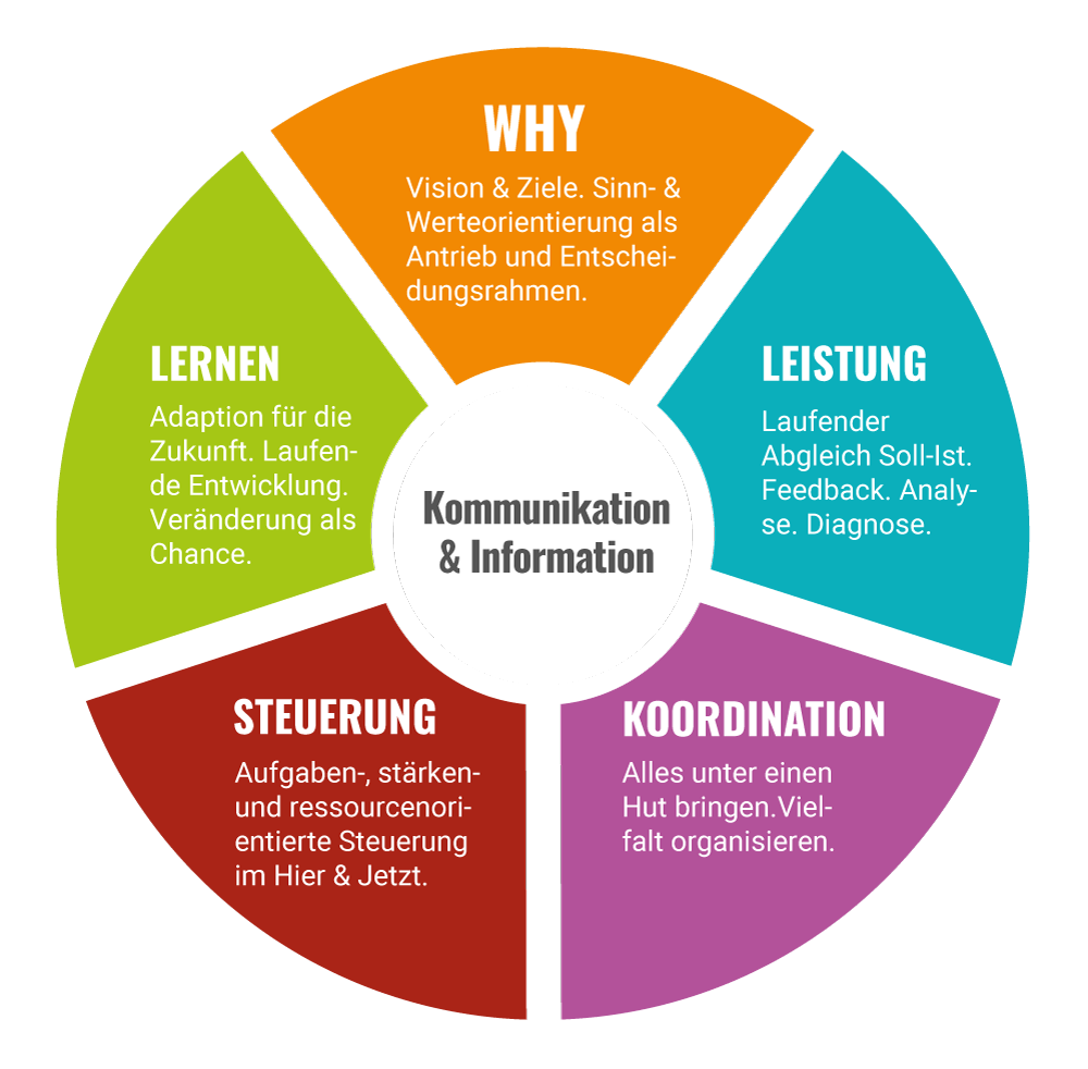 Die 5 Ebenen eines lebensfähigen Systems.