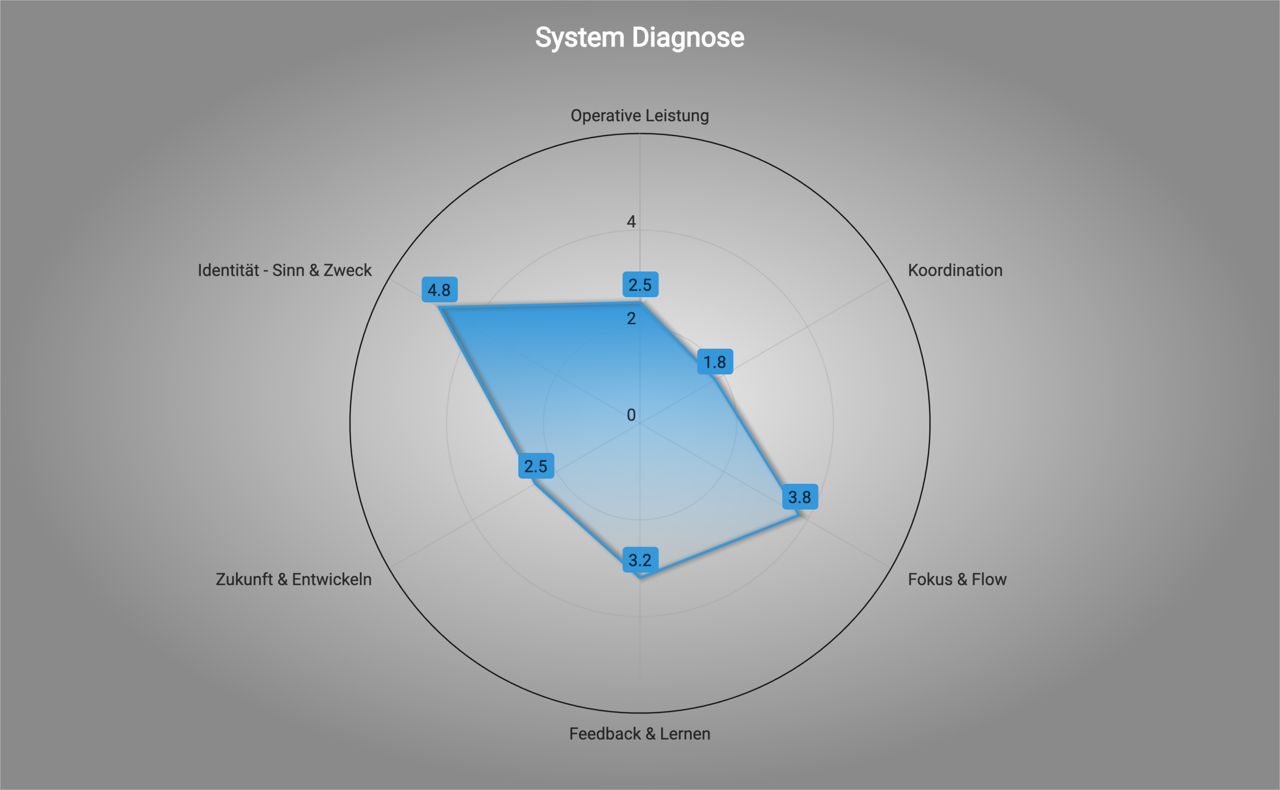 Systemdiagnose